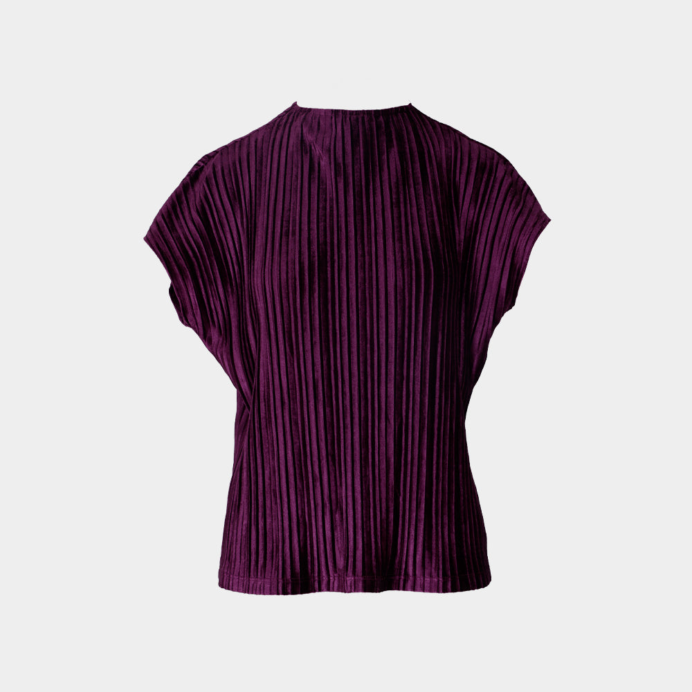 
                      
                        Top Pleated Velvet
                      
                    